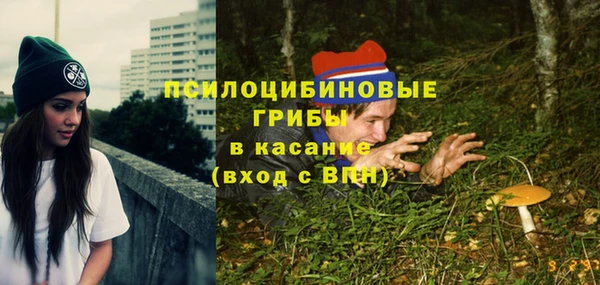 spice Арсеньев